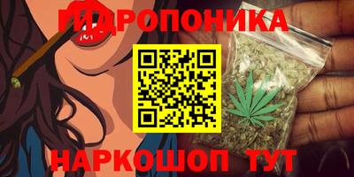 ALPHA PVP Пугачёв