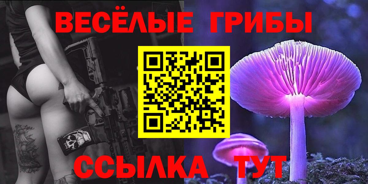 Севастополь  Псилоцибиновые грибы прущие грибы  Вход с VPN 